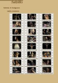 Francisco Salzillo. Galería de imágenes | Biblioteca Virtual Miguel de Cervantes