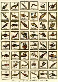 Peces | Biblioteca Virtual Miguel de Cervantes