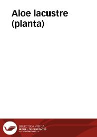 Aloe lacustre (planta) | Biblioteca Virtual Miguel de Cervantes
