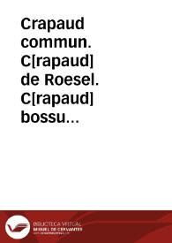 Crapaud commun. C[rapaud] de Roesel. C[rapaud] bossu (Reptiles) | Biblioteca Virtual Miguel de Cervantes