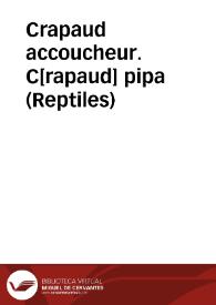 Crapaud accoucheur. C[rapaud] pipa (Reptiles) | Biblioteca Virtual Miguel de Cervantes