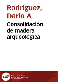 Consolidación de madera arqueológica | Biblioteca Virtual Miguel de Cervantes
