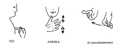 Expresi&oacute;n del aspecto perfectivo