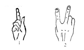 Signos cuantificadores numerales cardinales