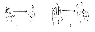 Signos cuantificadores numerales cardinales